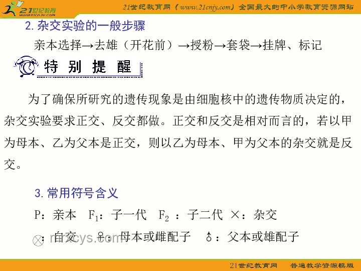 教育科技革新：這卷子你就交吧，包的硬控老師十分鐘，智能化測評崛起