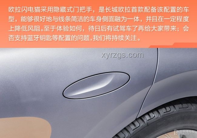 拍車VS拍貓：短視頻內容創作與播放量深度解析