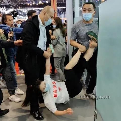 特斯拉車頂維權女車主二審敗訴：名譽權之爭的啟示