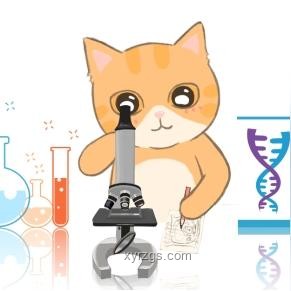 全合成：解鎖未來創新的密碼，重塑認知邊界