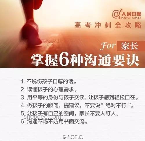 不靠心靜靠硬實力：高效提升個人能力的實用指南