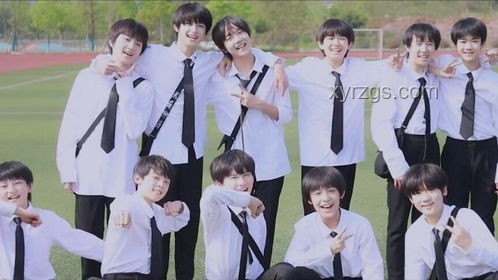 【TF家族】《2025TF家族夏日運動會》先導片案例研究：粉絲經濟與創新綜藝制作